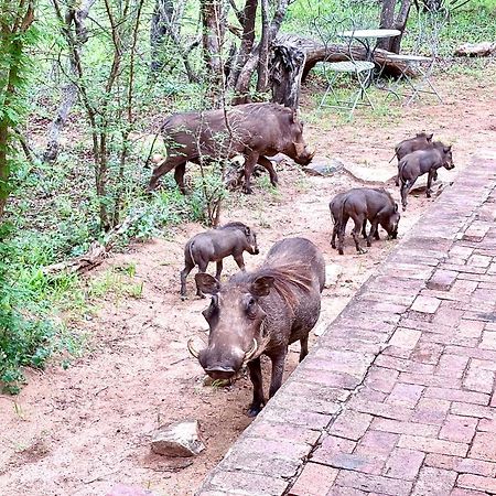 The Bush Hut Villa Hoedspruit Ngoại thất bức ảnh